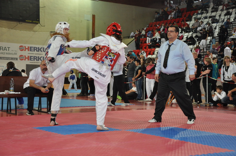 DSC_0718_resize.JPG
