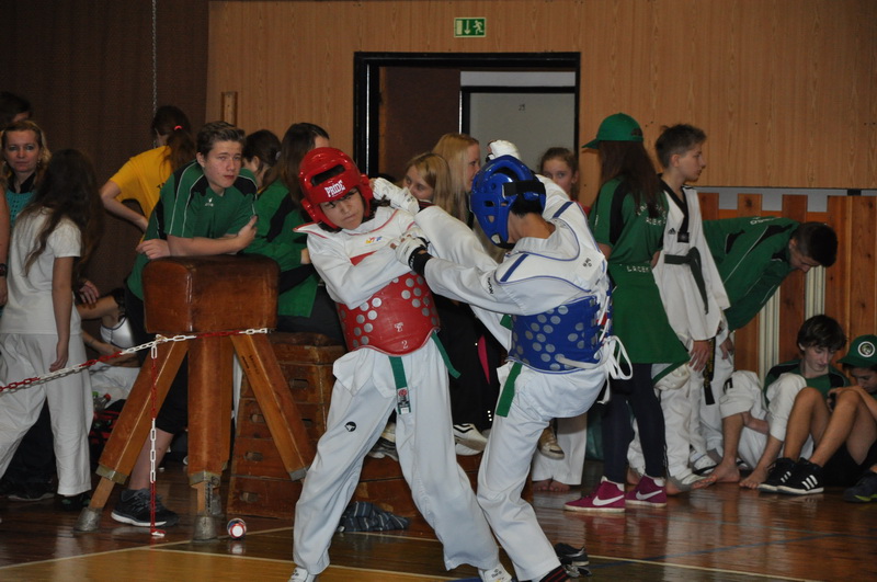 DSC_0992_zm�nit velikost.JPG