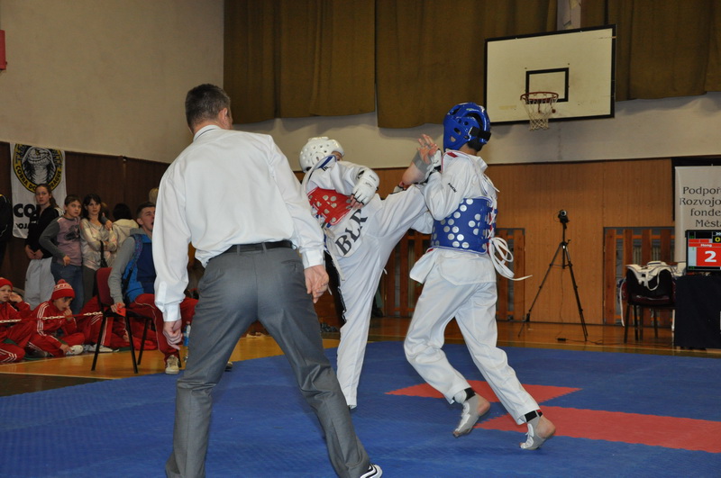 DSC_1045_zm�nit velikost.JPG