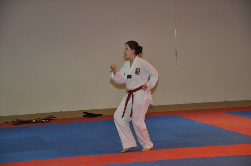 DSC_5382_resize.JPG