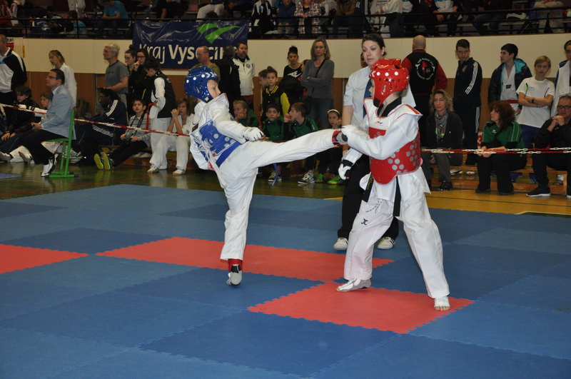 DSC_6130_resize.JPG