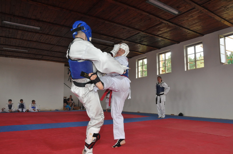 DSC_8208_resize.JPG