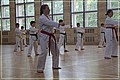 IMG_7407_2.JPG