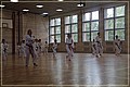 IMG_7412_2.JPG