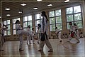 IMG_7502_2.JPG