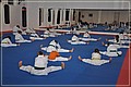 DSC_0875_2.JPG